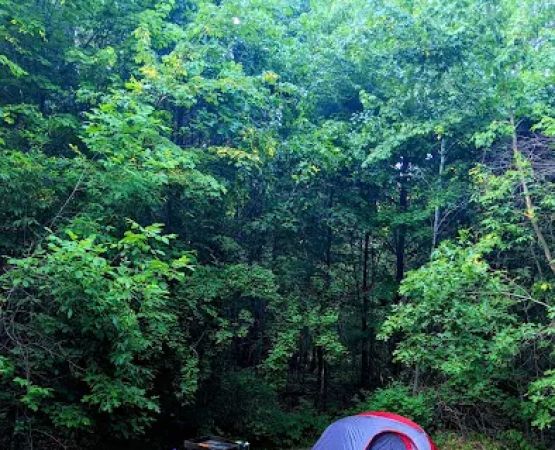 Family Campground