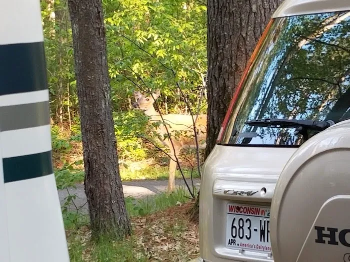 Family Campground 7
