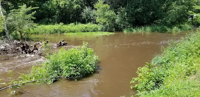 Duncan Creek Campground 9