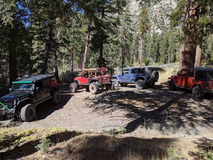 Lupine Campground 5