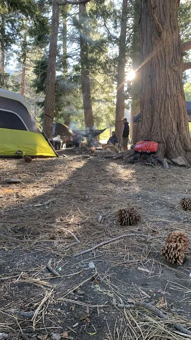 Lupine Campground 7