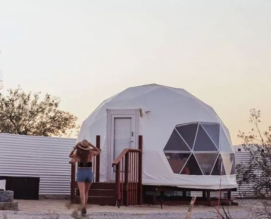 The Kosmic Tortoise