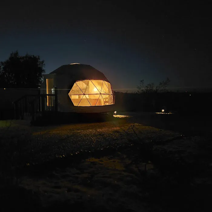 The Kosmic Tortoise 8