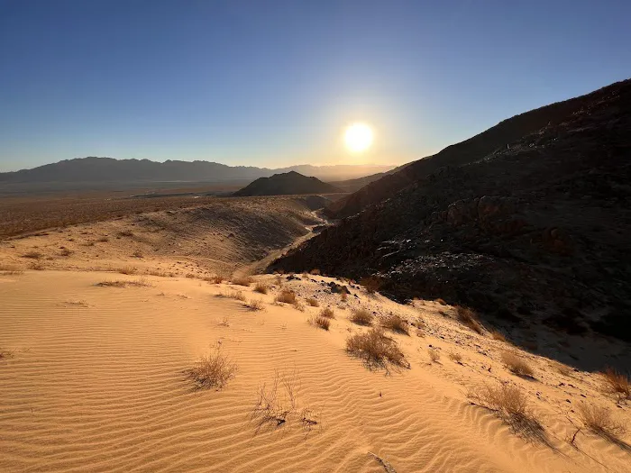 Wonder Valley USA 5