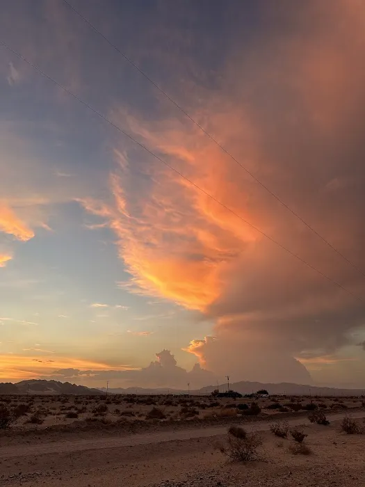 Wonder Valley USA 8