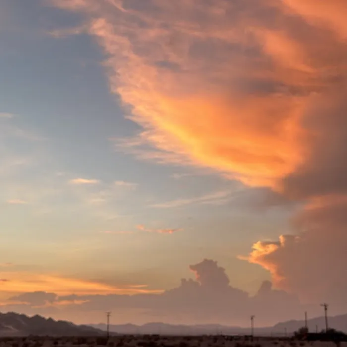Wonder Valley USA 9
