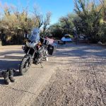 Cottonwood Campground - Roper Lake State Park