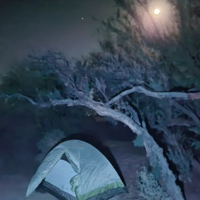 Cottonwood Campground - Roper Lake State Park 4