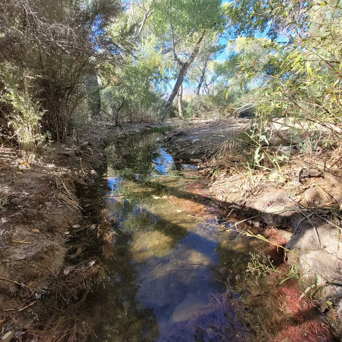 Cottonwood Campground - Roper Lake State Park 5