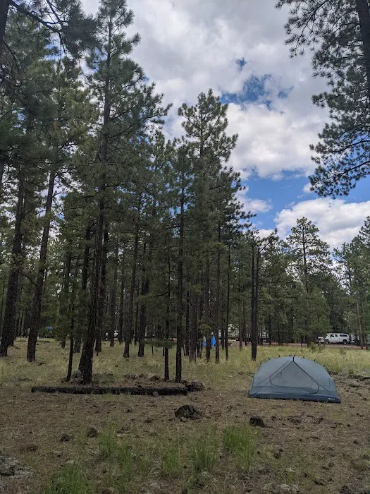 Rolfe C. Hoyer Campground 0