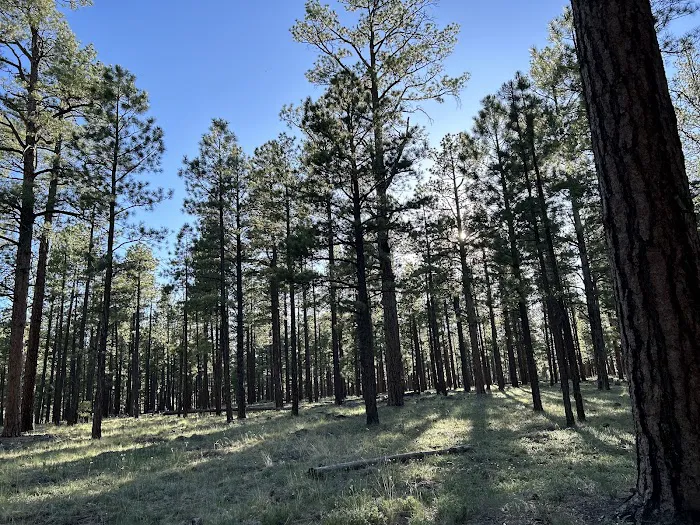 Rolfe C. Hoyer Campground 2