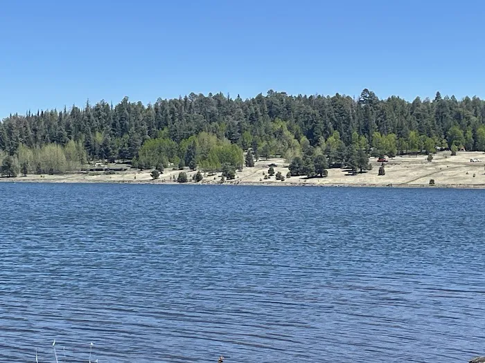 Rolfe C. Hoyer Campground 5