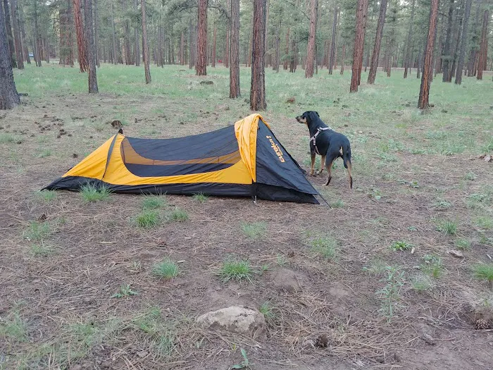 Rolfe C. Hoyer Campground 9