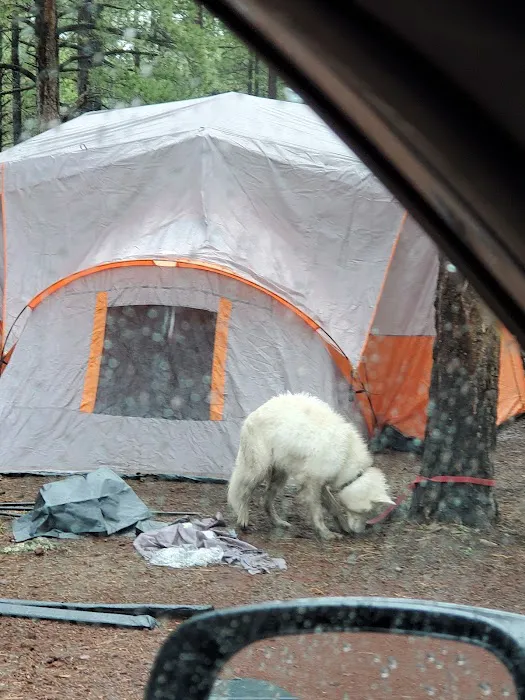 Benny Creek Campground 0
