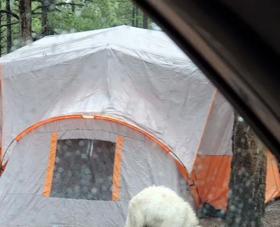 Benny Creek Campground