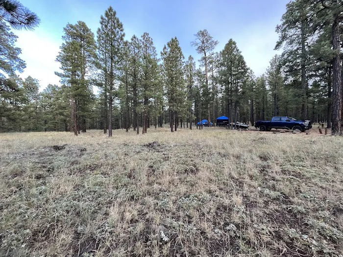 Benny Creek Campground 2