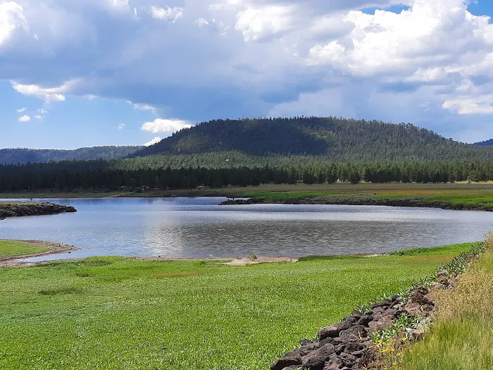 Benny Creek Campground 1