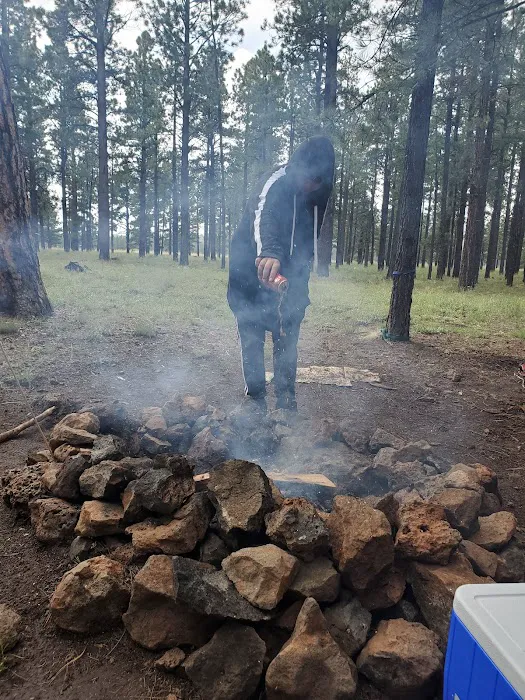 Benny Creek Campground 5