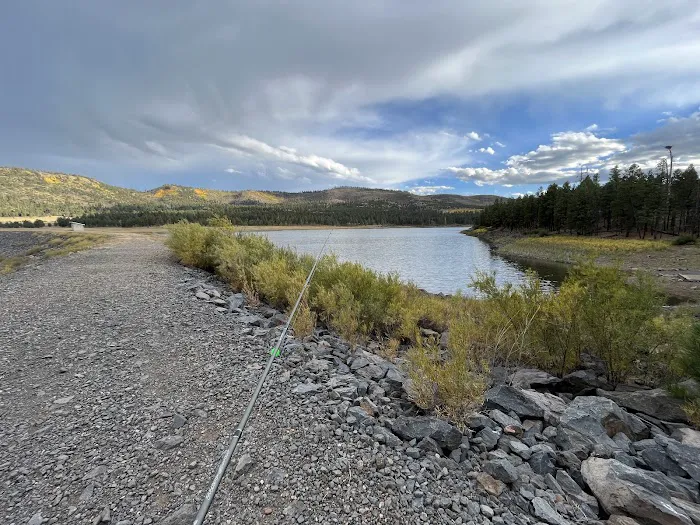 Benny Creek Campground 9