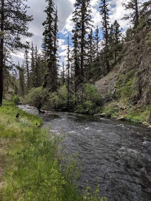 Benny Creek Campground 7