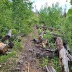 South Fork Trailhead (recgovnpsdata)