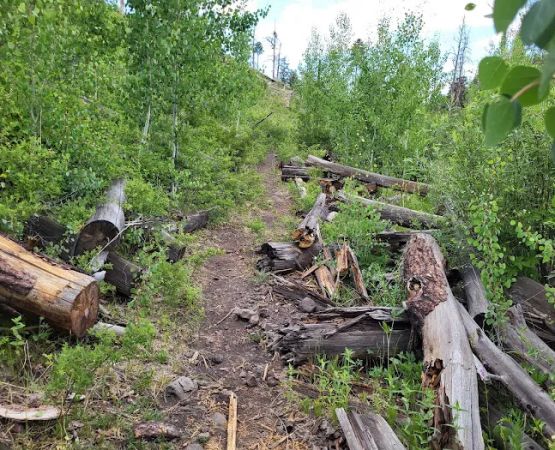 South Fork Trailhead (recgovnpsdata)