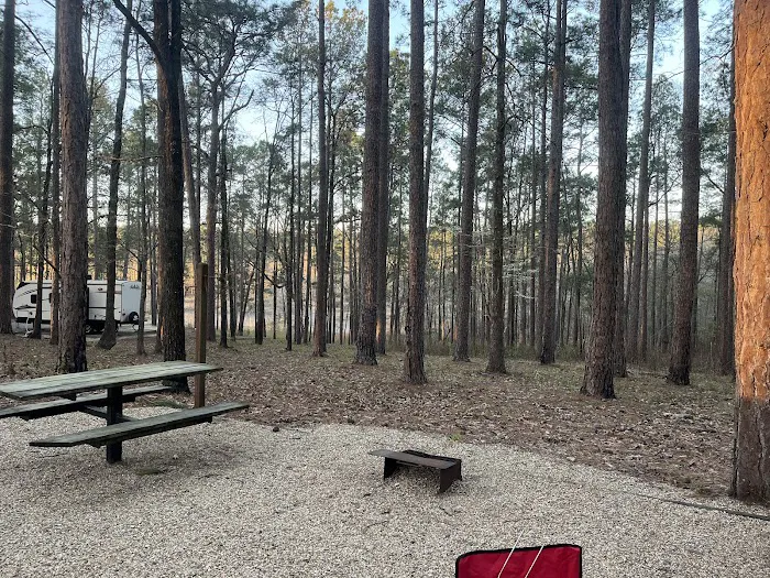 Turkey Fork Recreation Area 0