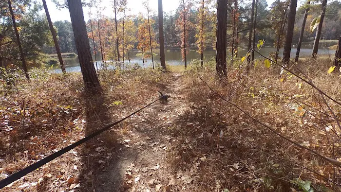 Turkey Fork Recreation Area 8