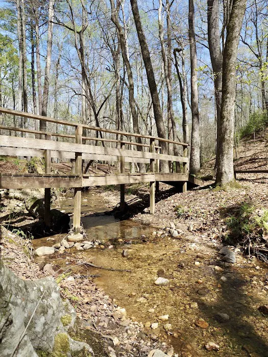 FDR State Park Campground 7