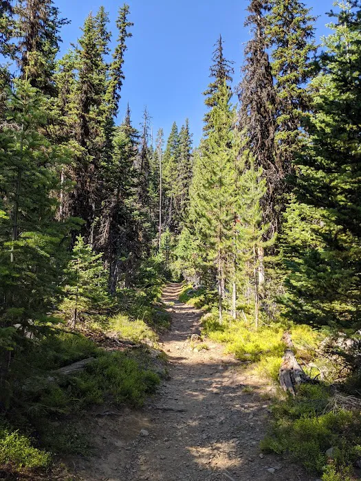 Strawberry Campground 4