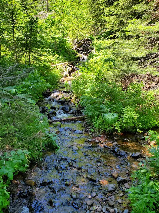 Strawberry Campground 5