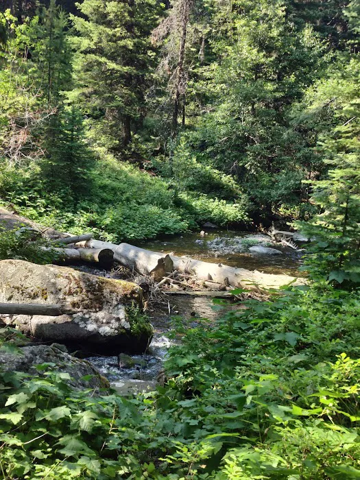 Strawberry Campground 8