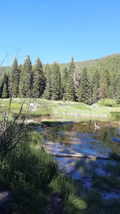 Trout Farm Campground 2