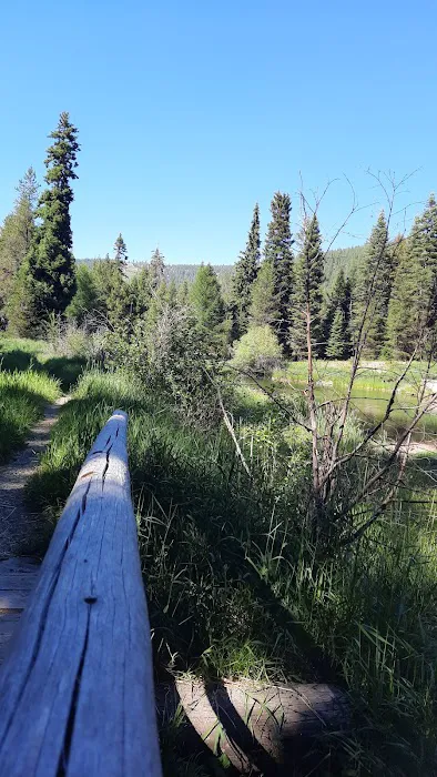 Trout Farm Campground 6