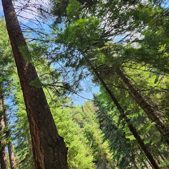 Trout Farm Campground 5