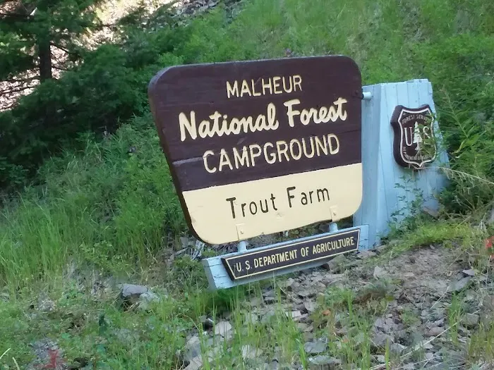 Trout Farm Campground 8