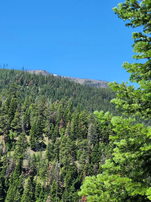 Crescent Campground 3