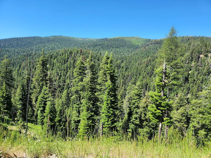 Crescent Campground 7