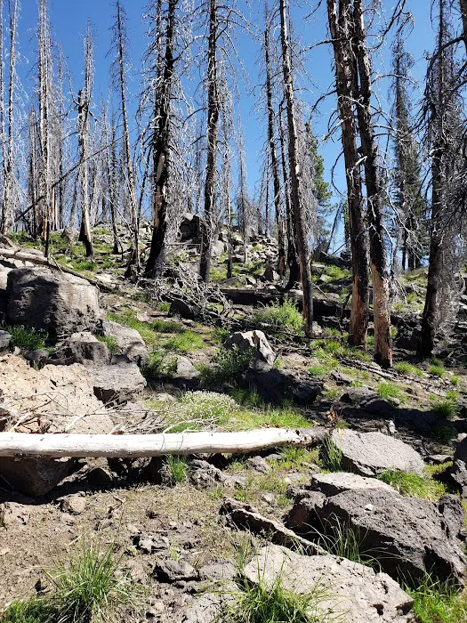 Indian Springs Campground 2