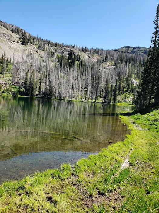 Indian Springs Campground 0
