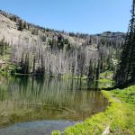 Indian Springs Campground