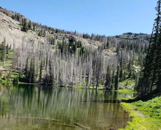 Indian Springs Campground