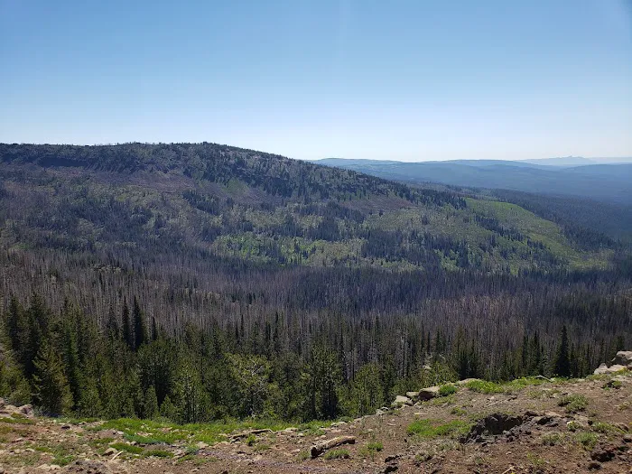 Indian Springs Campground 5
