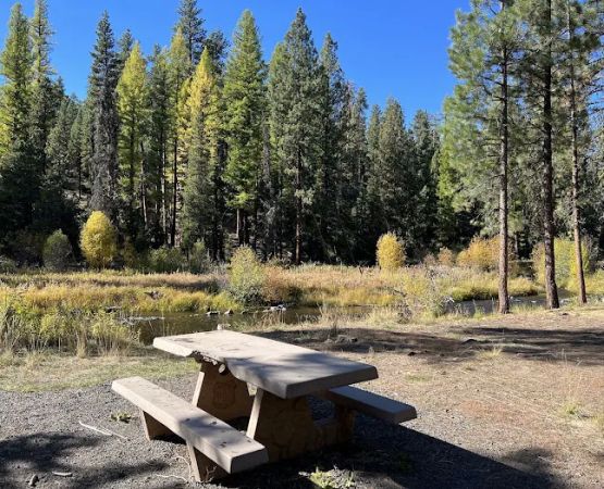 North Fork Malheur Campground