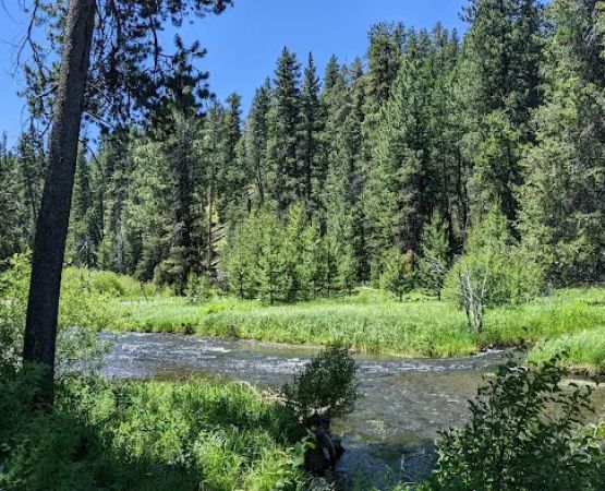 Little Crane Campground