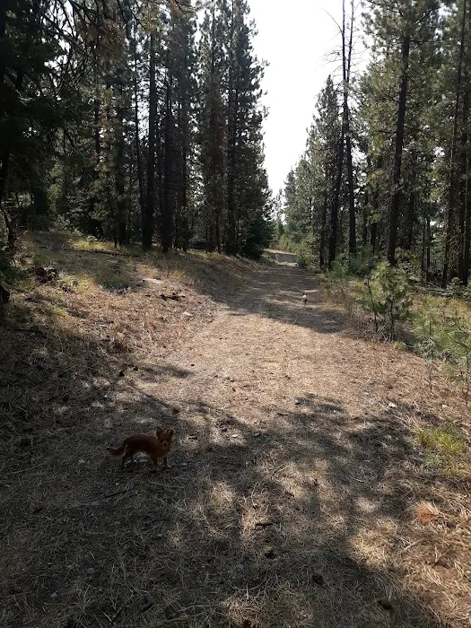 Little Crane Campground 4