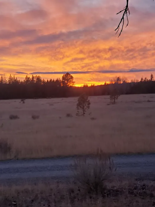 Big Creek Campground 5