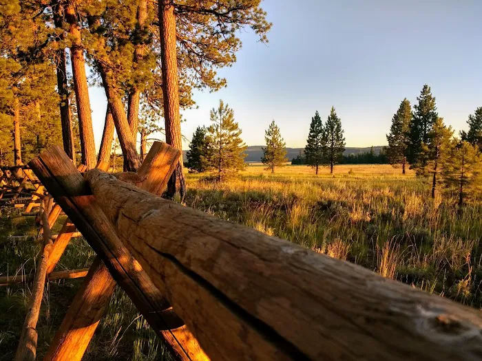 Big Creek Campground 4