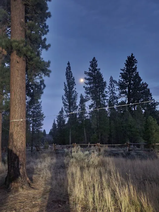 Big Creek Campground 7