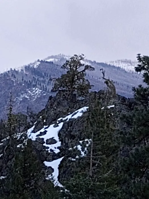 Parish Cabin Campground 0